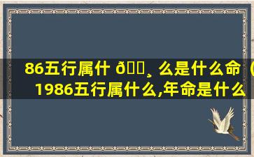 86五行属什 🌸 么是什么命（1986五行属什么,年命是什么农历）